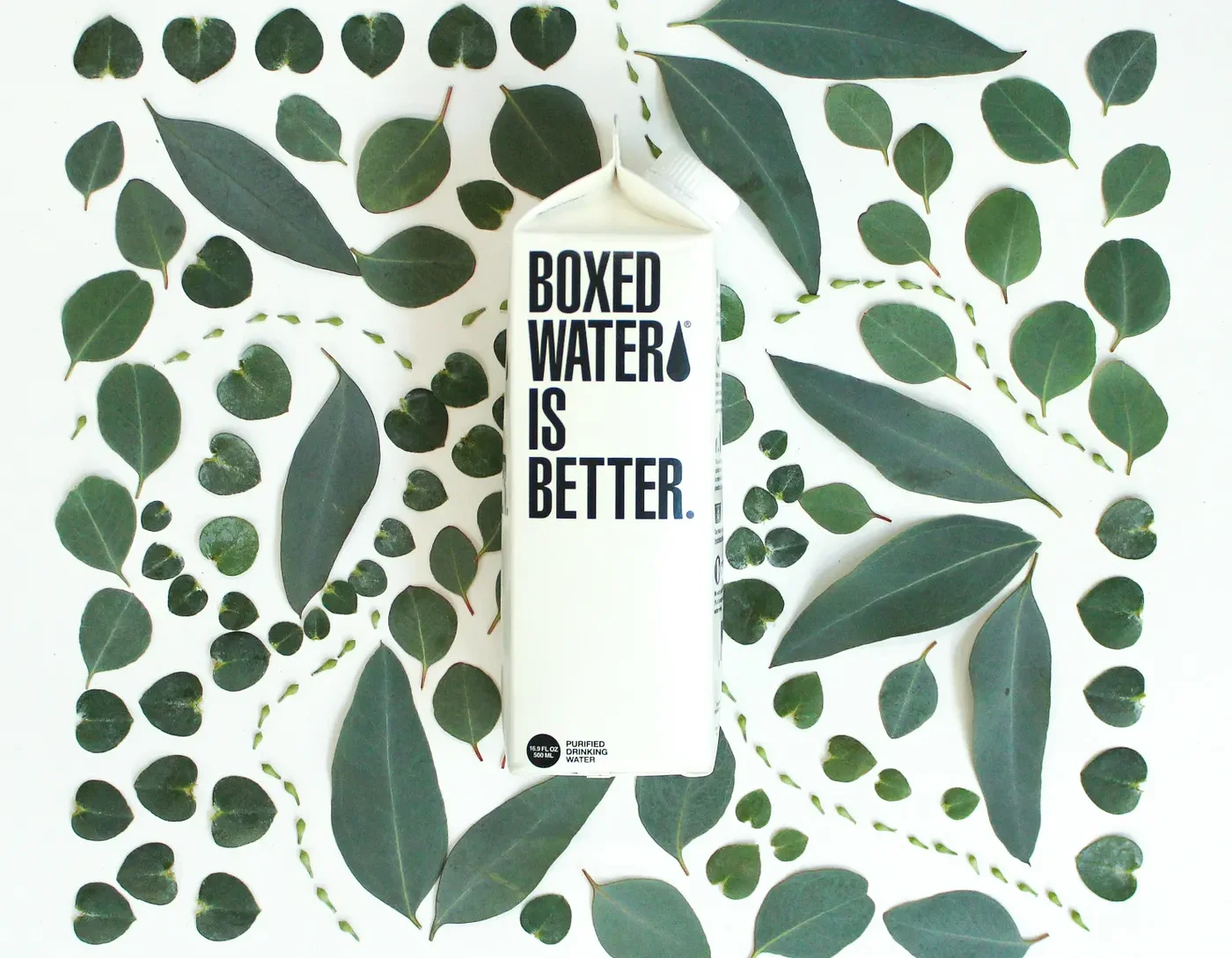 The photo shows a minimalist eco-themed composition. In the center, there is a white carton of water with the bold black text “BOXED WATER IS BETTER.”